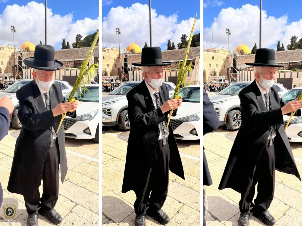 הרב יצחק כהן שליט״א סוכות תשפ״ו