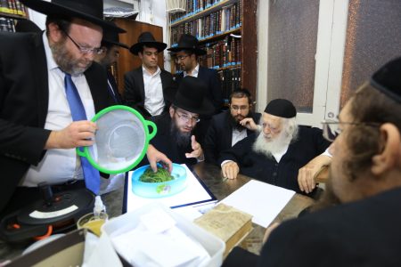 משגיח כשרות