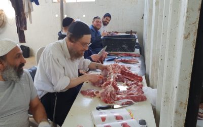 קורס שחיטה - מכון עליה