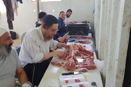 קורס שחיטה - מכון עליה