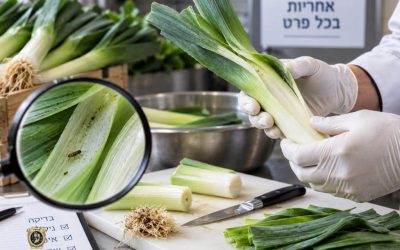 בדיקת כרישה מחרקים ונגיעות לפני הניקוי