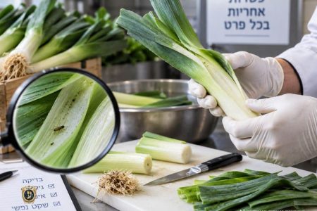 בדיקת כרישה מחרקים ונגיעות לפני הניקוי