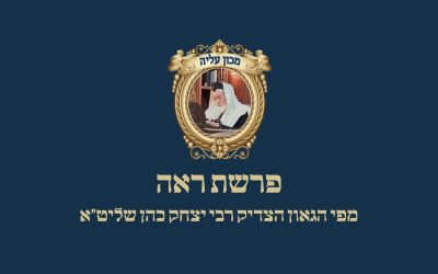 פרשת ראה