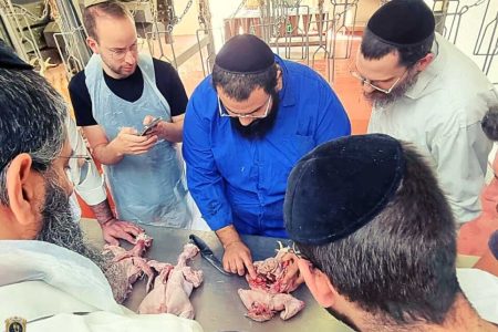 איך לומדים שחיטה