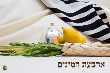 ארבעת המינים למכירה