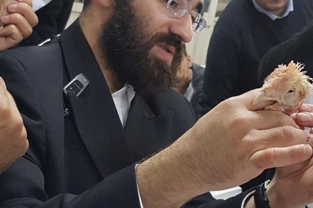 קורס שחיטה
