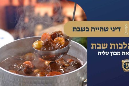 דיני שהייה בשבת
