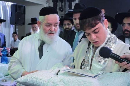 הכשרת מוהלים