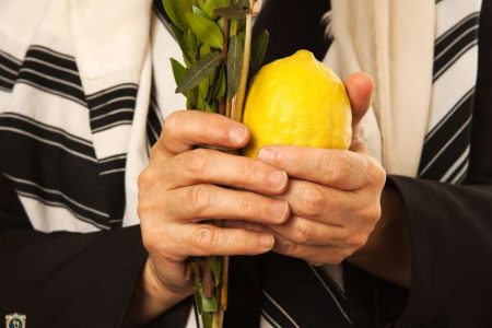הלכות לסוכות