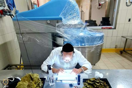 חומר למבחן משגיח כשרות