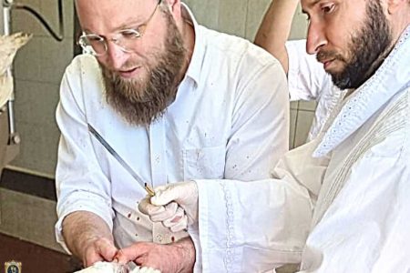 כיצד לבצע שחיטה כשרה
