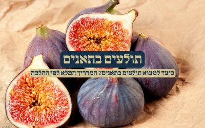 תולעים בתאנים