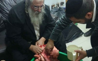 מה זה ניקור