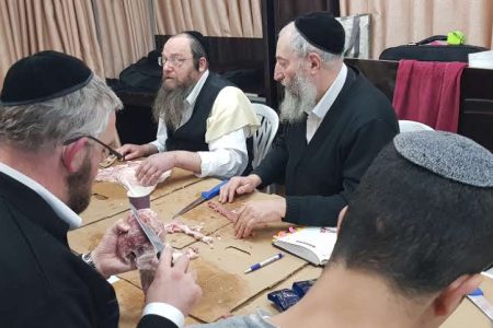 ניקור