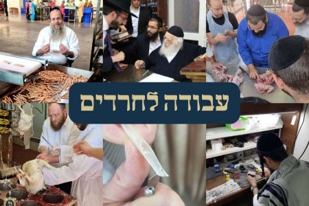 עבודה לחרדים