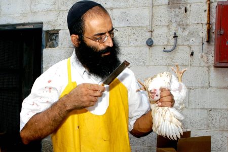 קורס שחיטה של מכון עליה